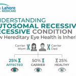 Learn how autosomal recessive and X-linked genetic conditions are inherited. Understand carrier risks, reproductive percentages, and family health planning.
